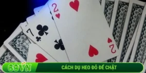 Cách dụ heo đỏ để chặt