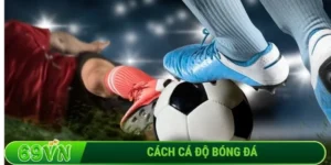 Cách cá độ bóng đá